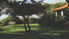 Is Morus Relais 